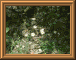 DSCN0725.JPG