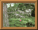 DSCN0726.JPG