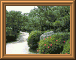DSCN0727.JPG