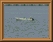 DSCN0730.JPG