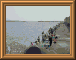 DSCN0731.JPG