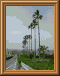 DSCN0736.JPG