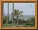 DSCN0737.JPG