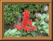 DSCN0739.JPG