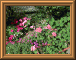 DSCN0740.JPG