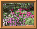 DSCN0741.JPG