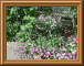 DSCN0742.JPG
