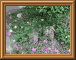 DSCN0743.JPG