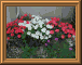 DSCN0744.JPG