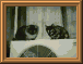 DSCN0805.png
