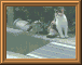 DSCN0857.JPG
