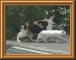 DSCN0859.JPG